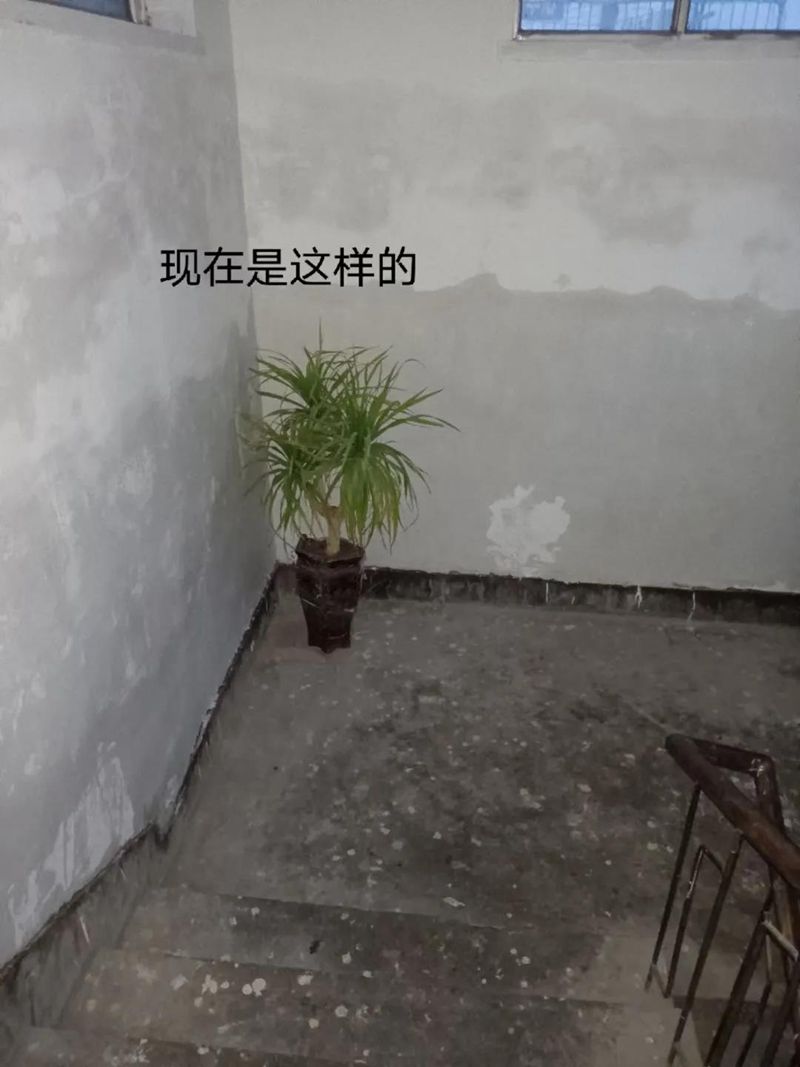 8.jpg 8.jpg